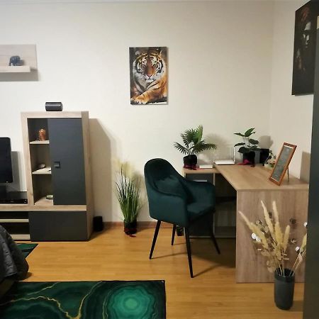 Ummagumma Studio Apartment 布加勒斯特 外观 照片