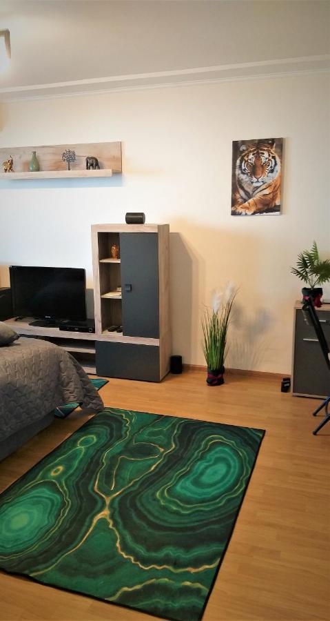 Ummagumma Studio Apartment 布加勒斯特 外观 照片