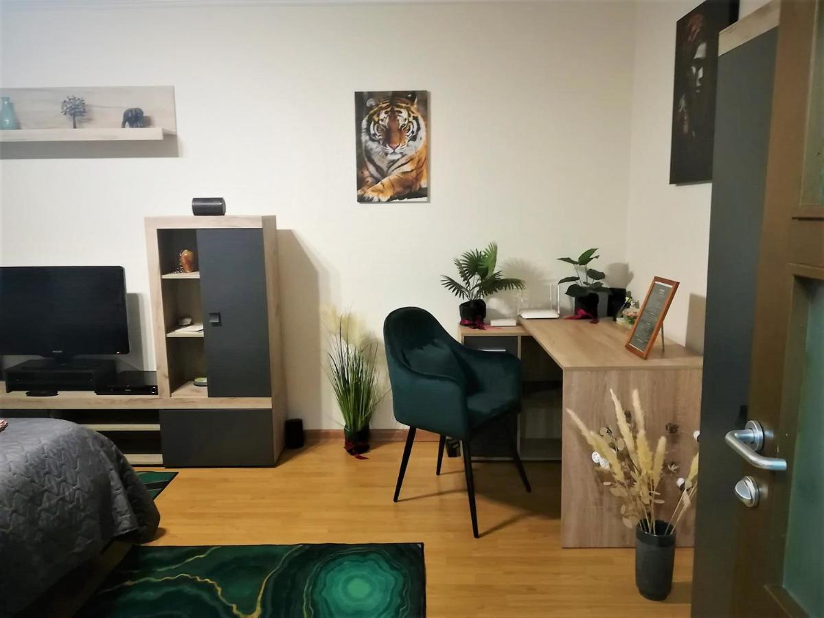 Ummagumma Studio Apartment 布加勒斯特 外观 照片