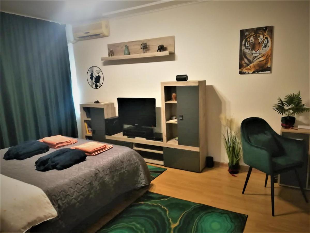 Ummagumma Studio Apartment 布加勒斯特 外观 照片